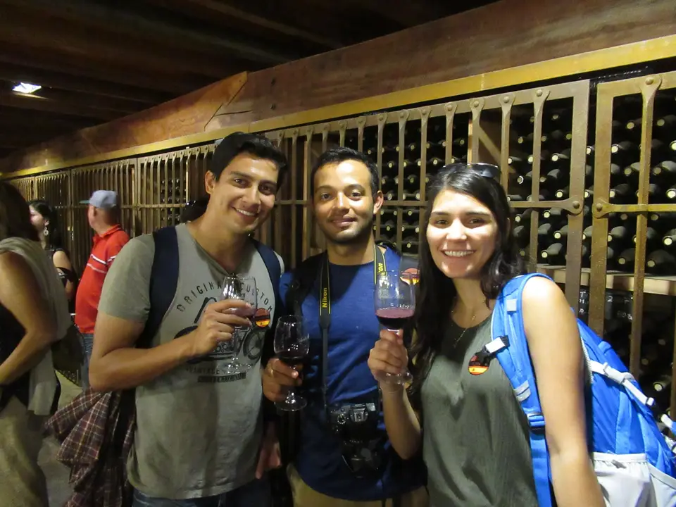 Grupo brindando con vino tinto en una bodega cerca de Santiago