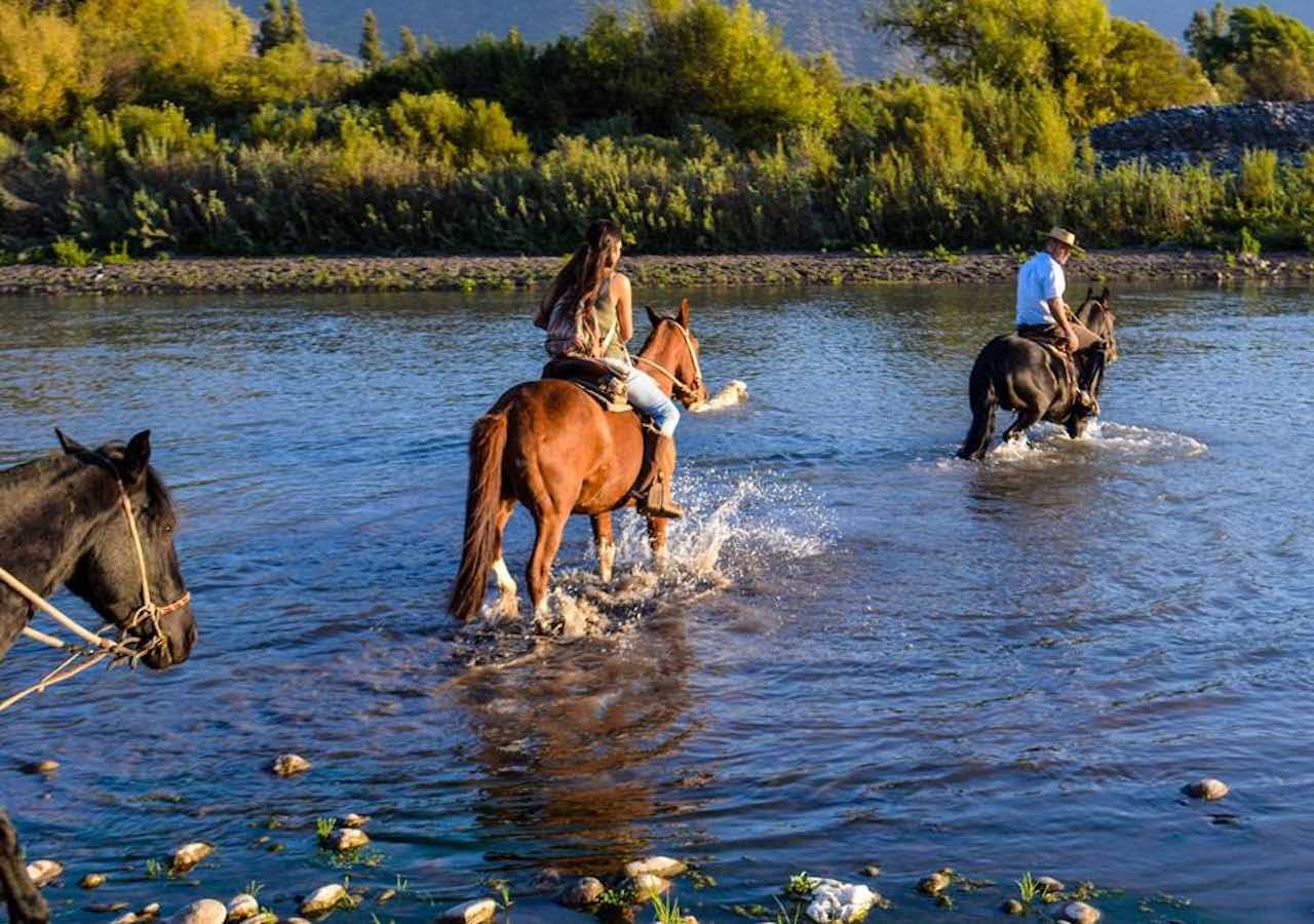 Horseback, country grill and wine Tour in a winery. 