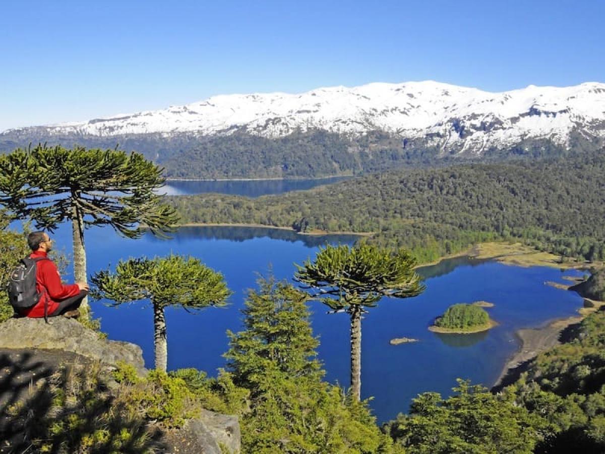Excursão Essencial de 5 Dias no Sul do Chile saindo de Santiago