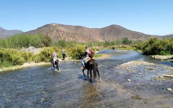 Cabalgata, asado y cata de vinos