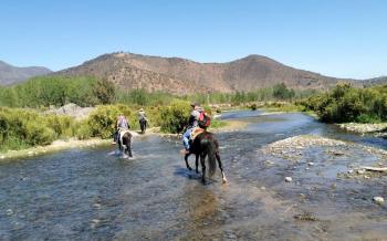 Cajón del Maipo on horseback (private)