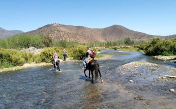 Passeios a cavalo, churrasco e vinhos